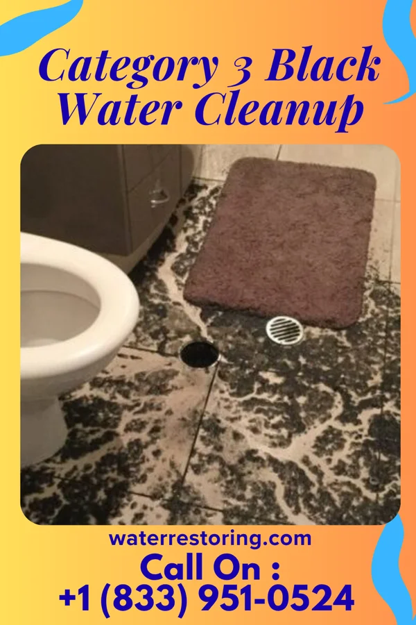 Category 3 Black Water Cleanup in Fox Chase, PA