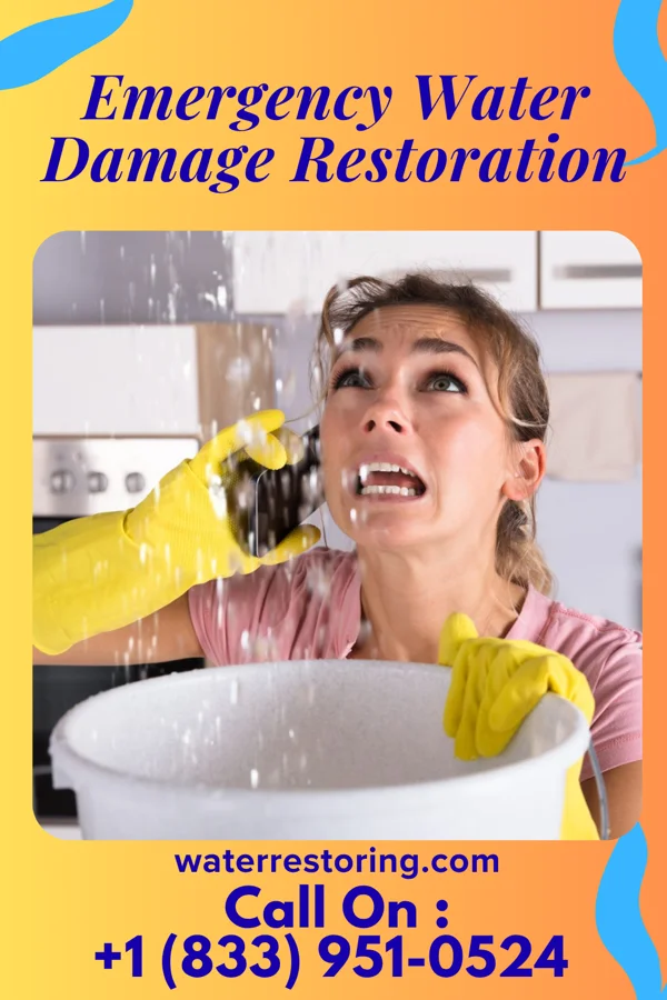 Emergency Water Damage Restoration in Fox Chase, PA