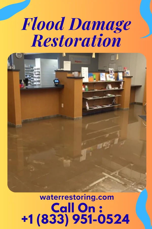 Flood Damage Restoration in Fox Chase, PA