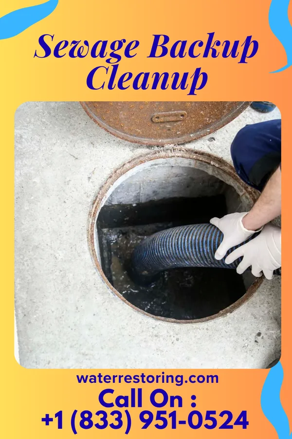 Sewage Backup Cleanup in Fox Chase, PA