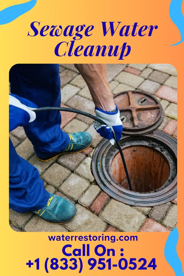 Sewage Water Cleanup in Fox Chase, PA